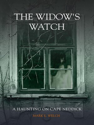 cover image of The Widow's Watch